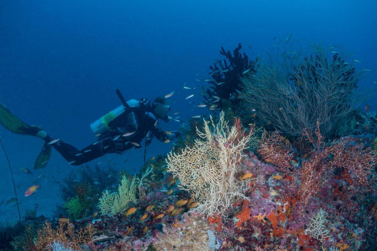 Maldives Complex